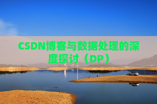 CSDN博客与数据处理的深度探讨（DP）